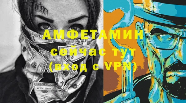 сатива Аркадак