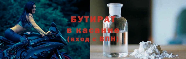 сатива Аркадак