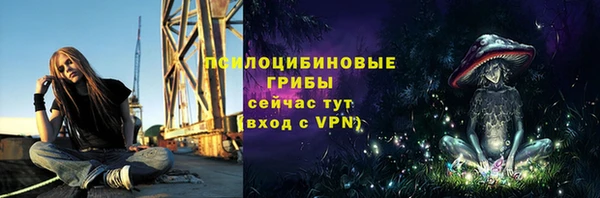 mdpv Армянск