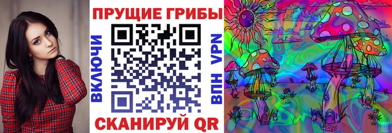 Псилоцибиновые грибы мицелий  Купить закладки  Белореченск 